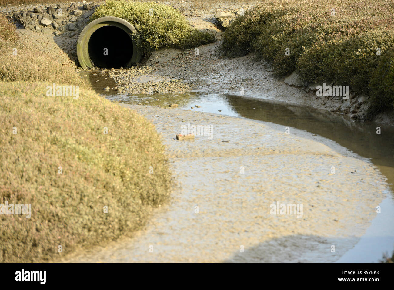 Drainage channel in Rye Harbour nature reserve Stock Photo