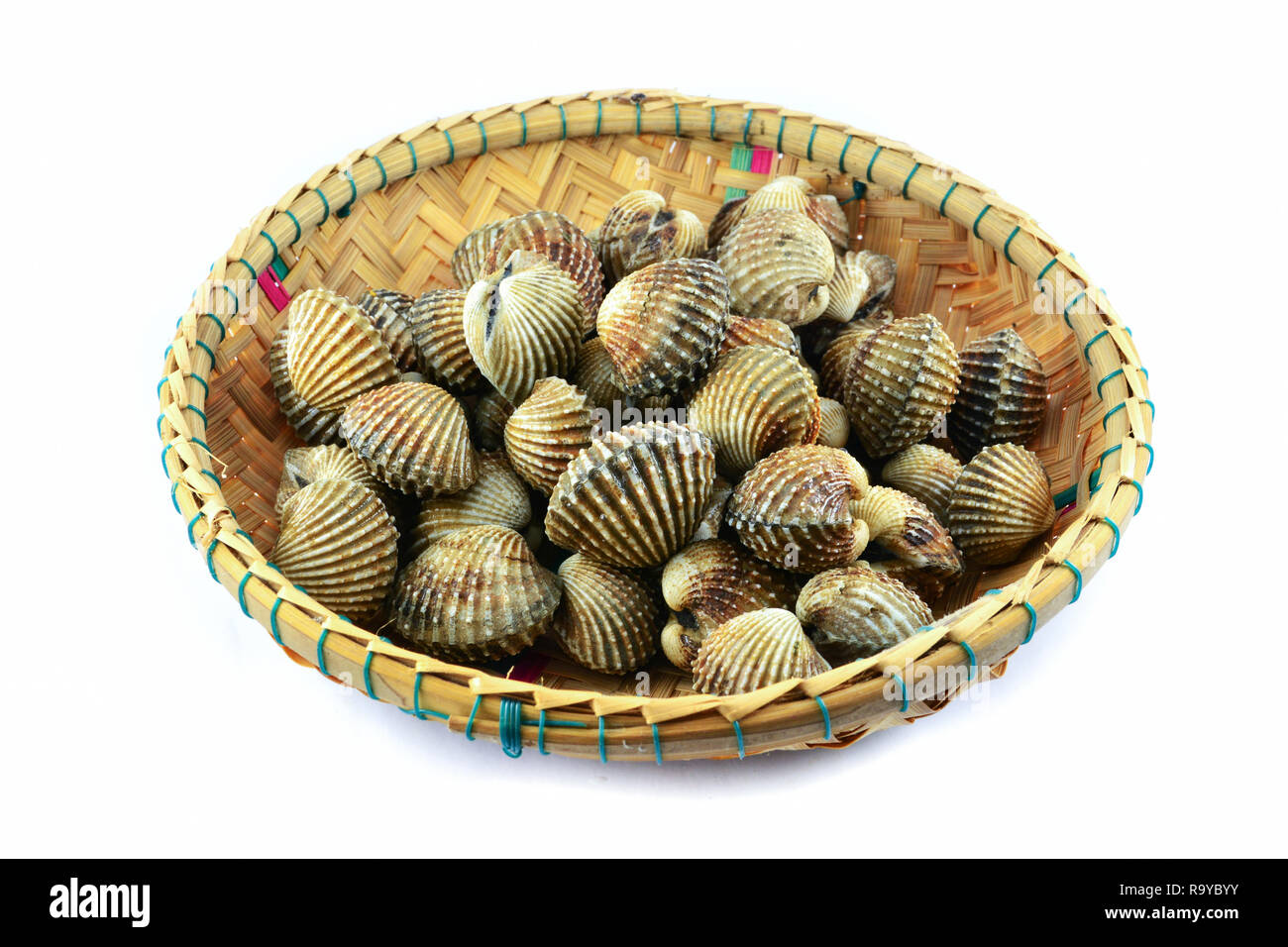 fresh cockles in the basket isolated on white background Stock Photo