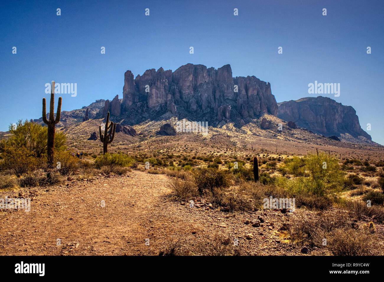 lost dutchman state park treasure loop trail