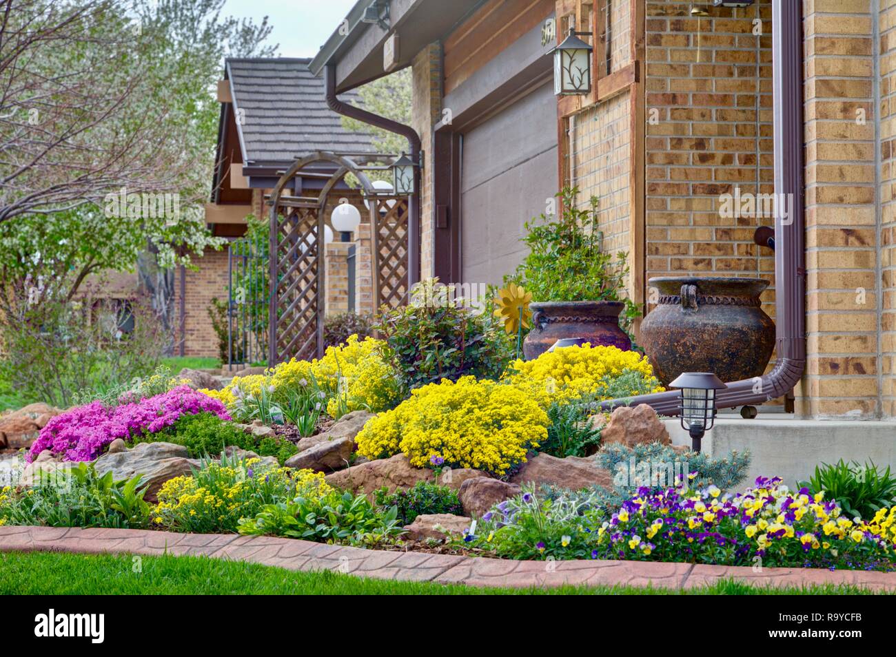 A rock garden in spring bloom featuring Basket-of-Gold and Creeping Phlox. Stock Photo