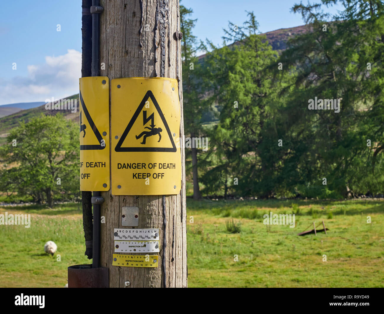 The Yellow warning signs nailed to a Wooden Power pole warning People of the Danger of death if the Pole is touched or climbed on. Angus, Scotland. Stock Photo