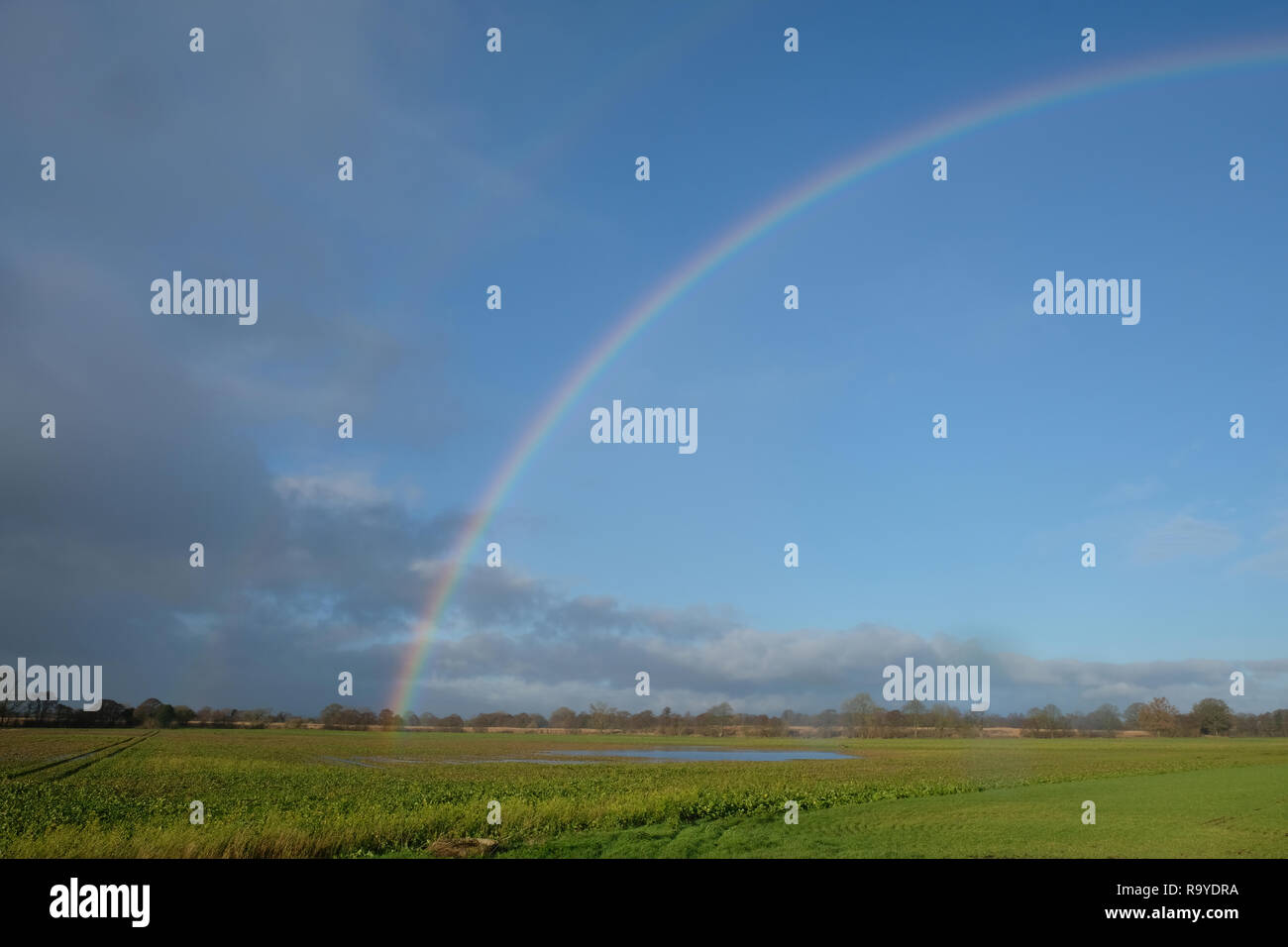 rainbow over winter fields in Shropshire, UK Stock Photo