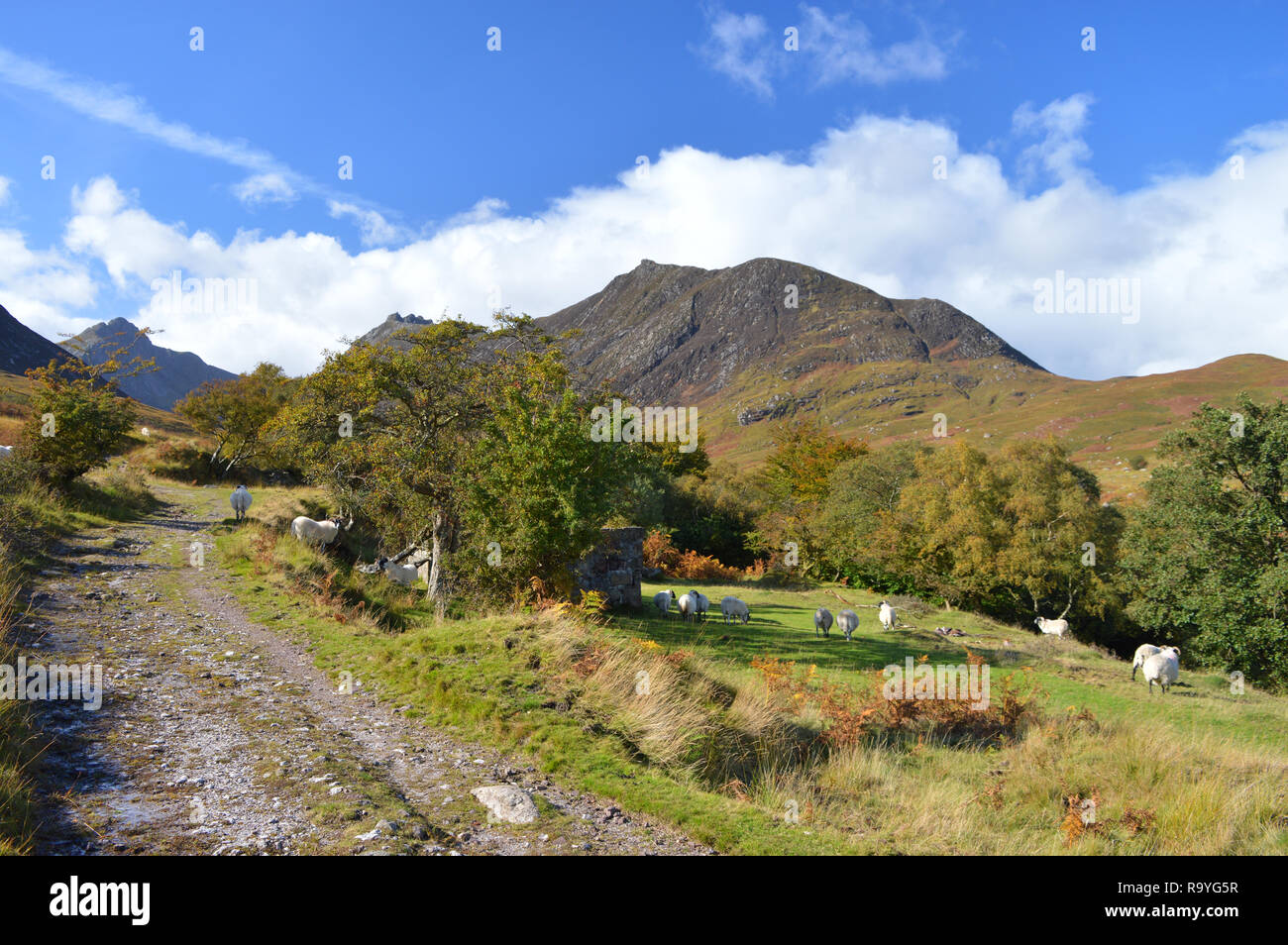 Glen Sannox Burn, Isle of Arran Stock Photo