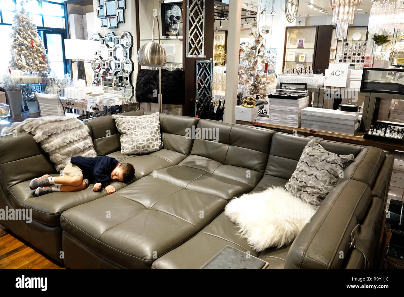 Florida Fort Ft Lauderdale Pembroke Pines Shops At Pembroke Gardens Mall Z Gallerie Inside Interior Home Decor Display Sale Product Products Stock Photo Alamy