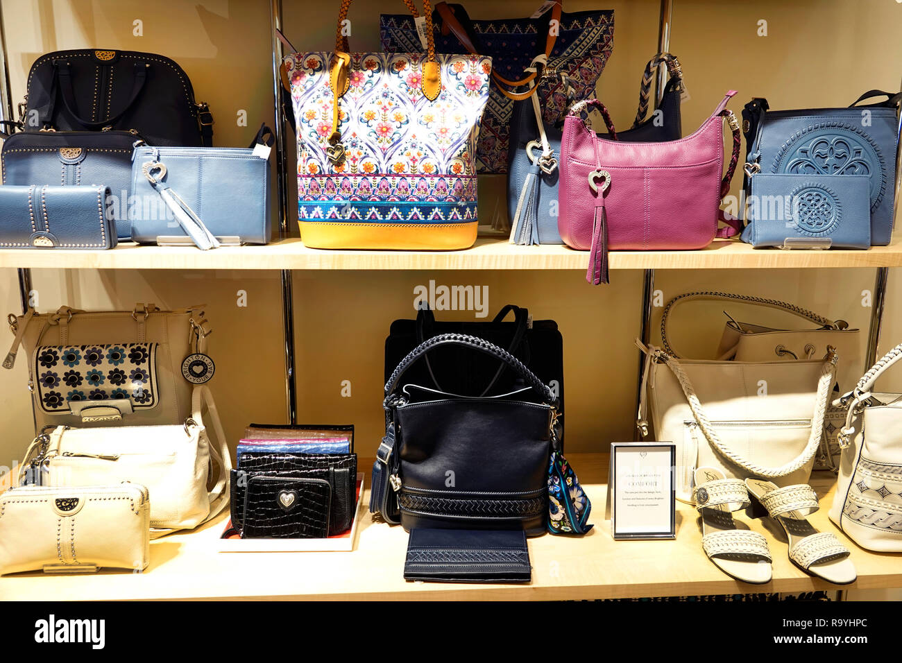 brighton women's handbags