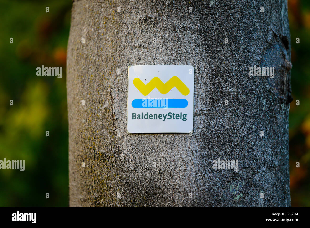 22.10.2018, Essen, Nordrhein-Westfalen, Ruhrgebiet, Deutschland, Markierung am Baum am Wanderweg BaldeneySteig am Baldeneysee. 00X181022D004CARO [MODE Stock Photo