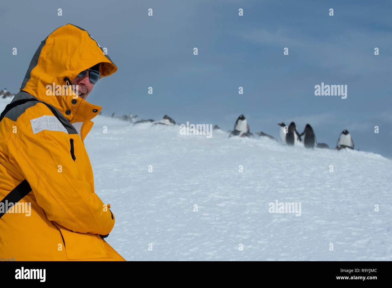 Antarctica, Gerlache Strait, Palmer Archipelago, Wiencke Island, Damoy Point. Adventure tourist with Gentoo penguins. Stock Photo