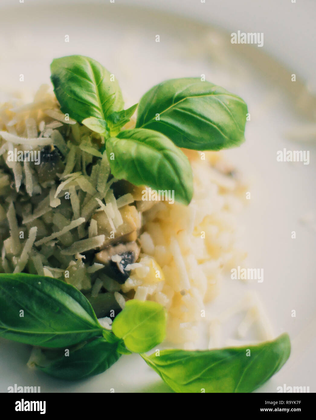 european and mediterranean cuisine styled concept - mushroom risotto ...