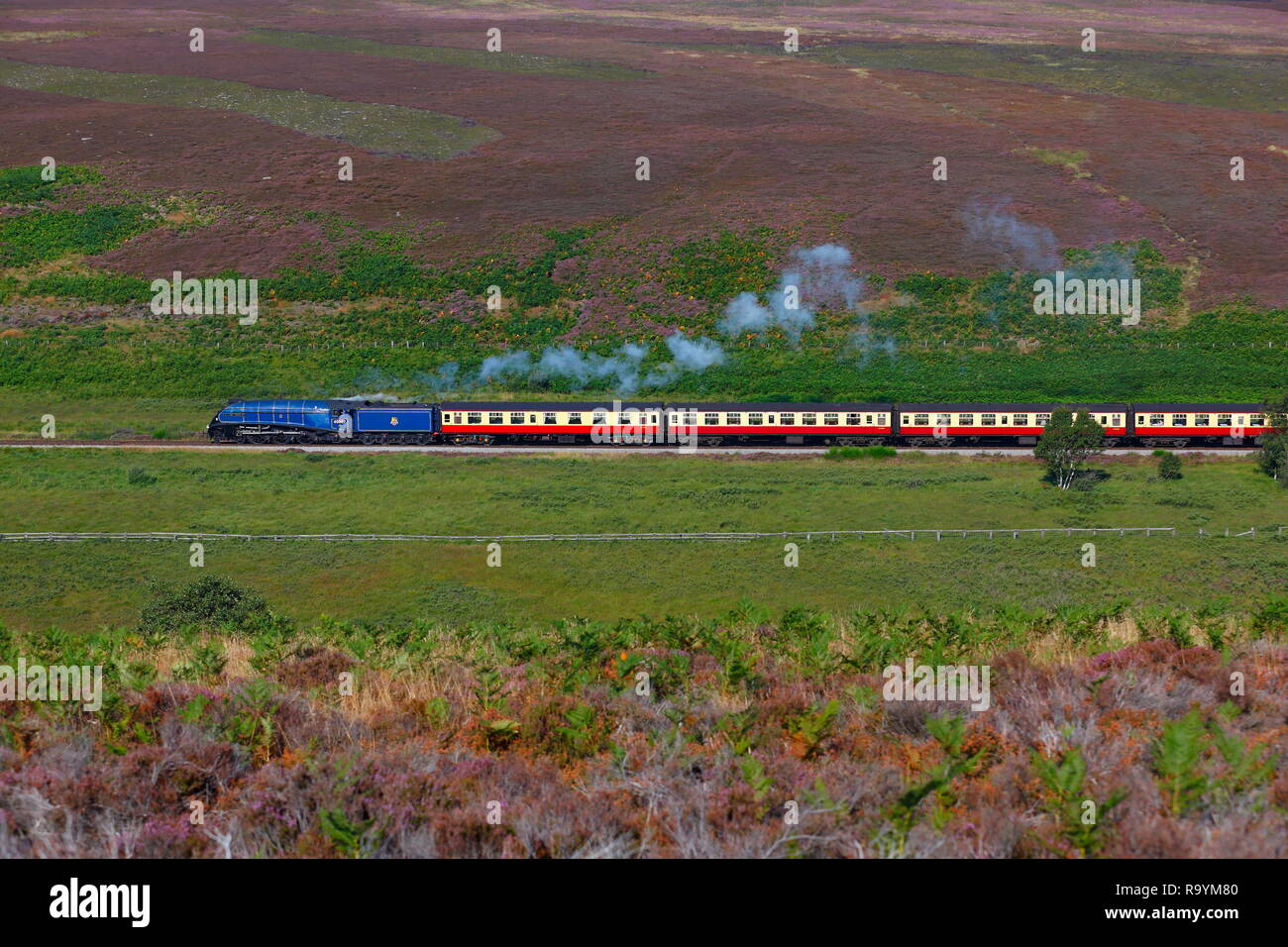 60007 Sir Nigel Gresley Steam Locomotive on the North Yorkshire Moors Railway in Goathland. Stock Photo