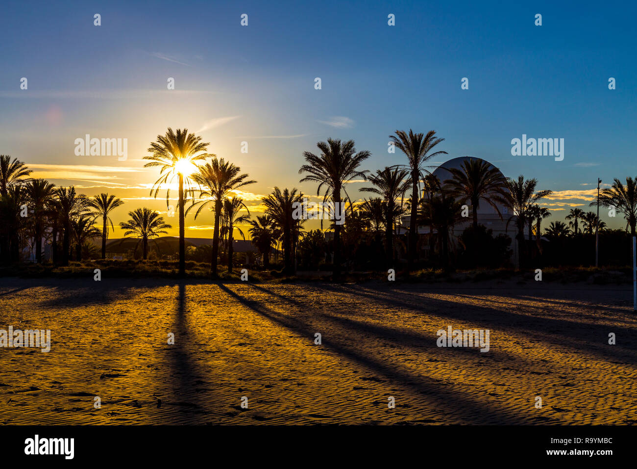 Sunset behind palm trees and silhouette of the Planetarium building at Pinar Beach (Playa del Pinar) in Castellon de la Plana, Spain Stock Photo