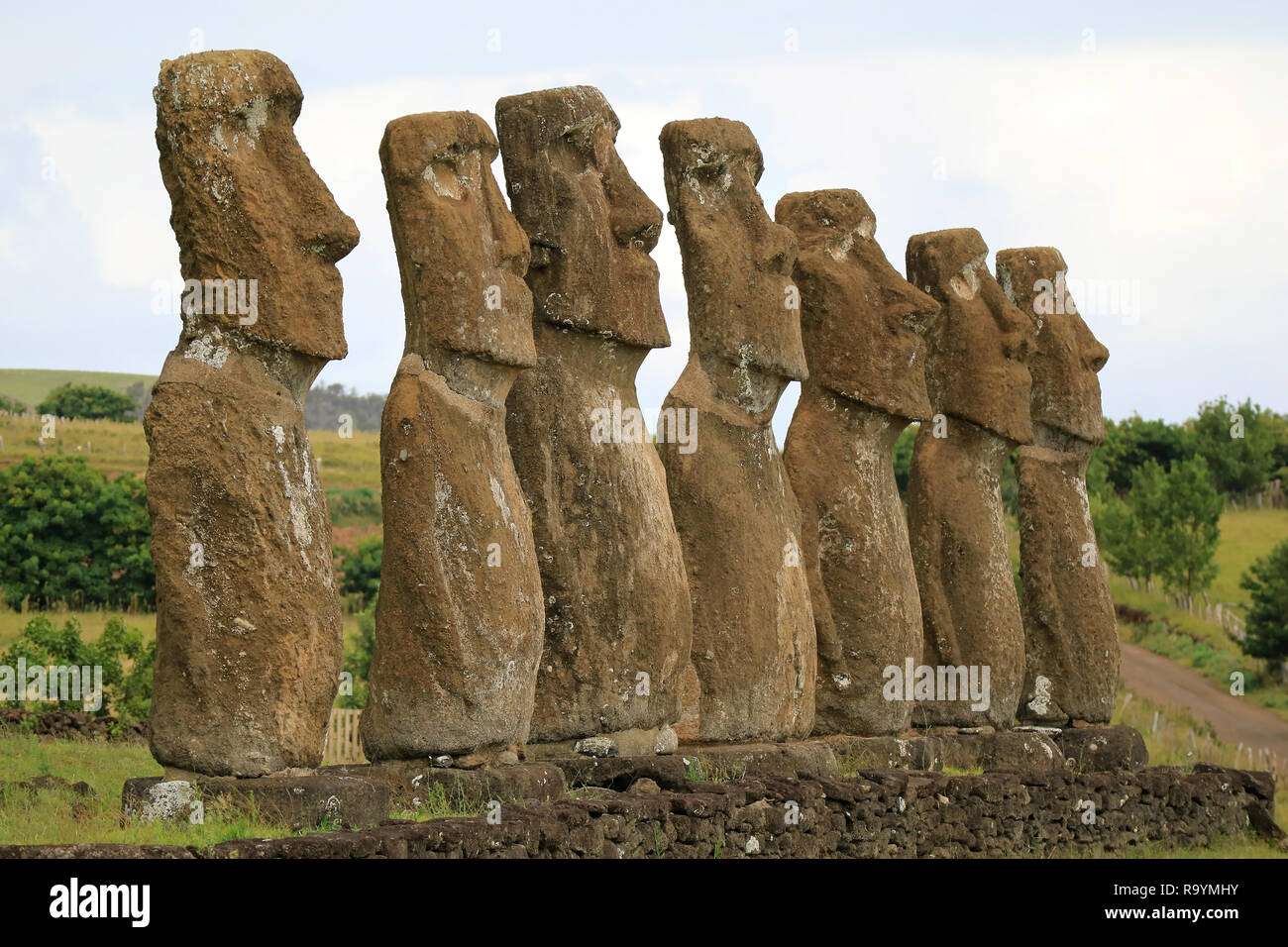 All of seven Moai statues at Ahu Akivi have almost the equal height of