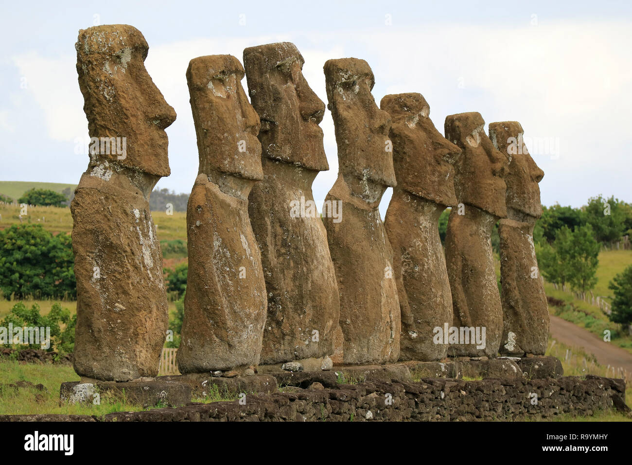 All of seven Moai statues at Ahu Akivi have almost the equal height of 4.5  meters and facing Pacific ocean, Archaeological site on Easter island Stock  Photo - Alamy