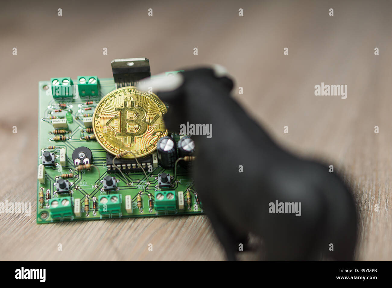 Photo of Bitcoin or Bitcoin cash on electronic circuit, computer part and bull next to it Stock Photo