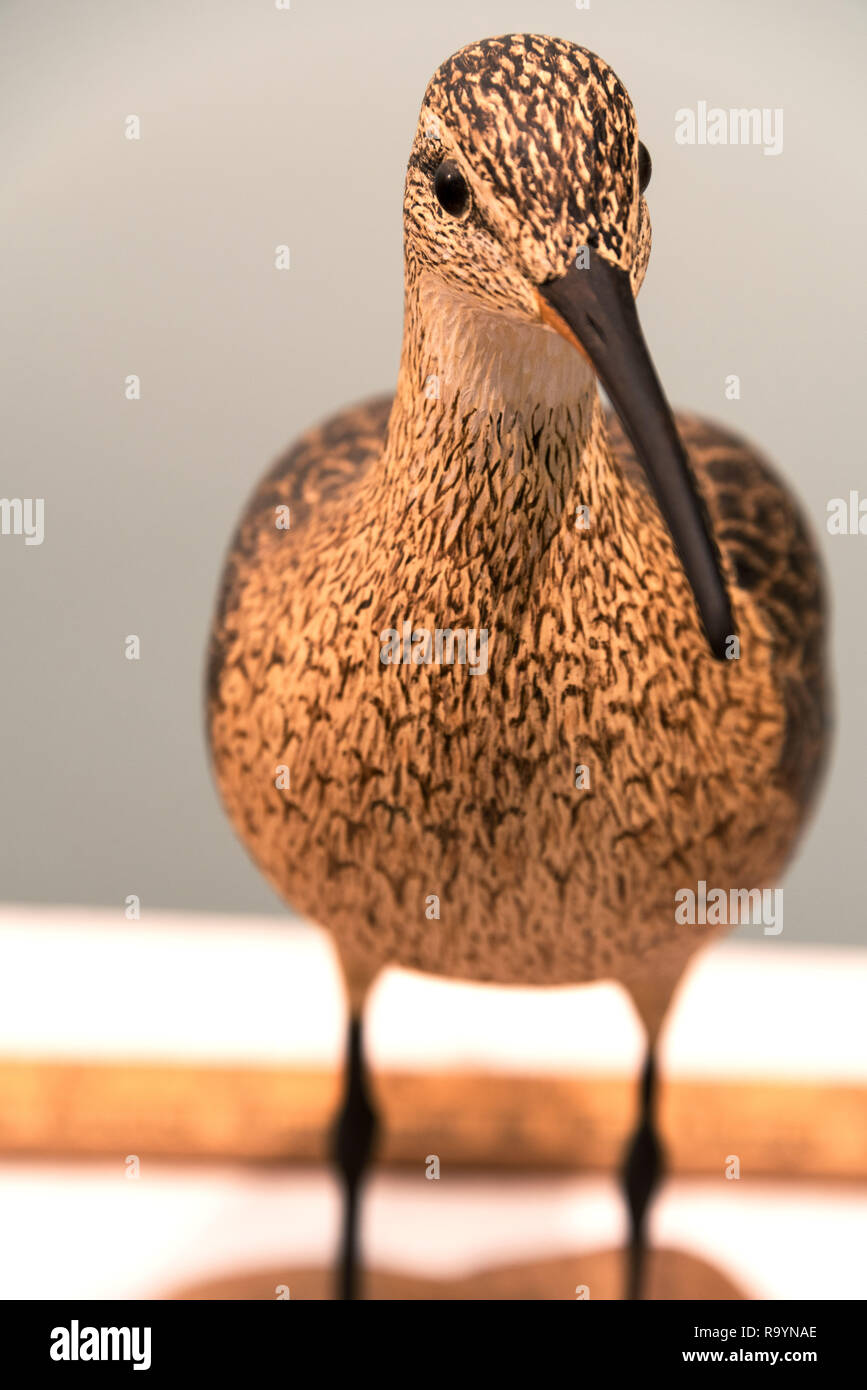 Bird carving by Harold Haertel Stock Photo