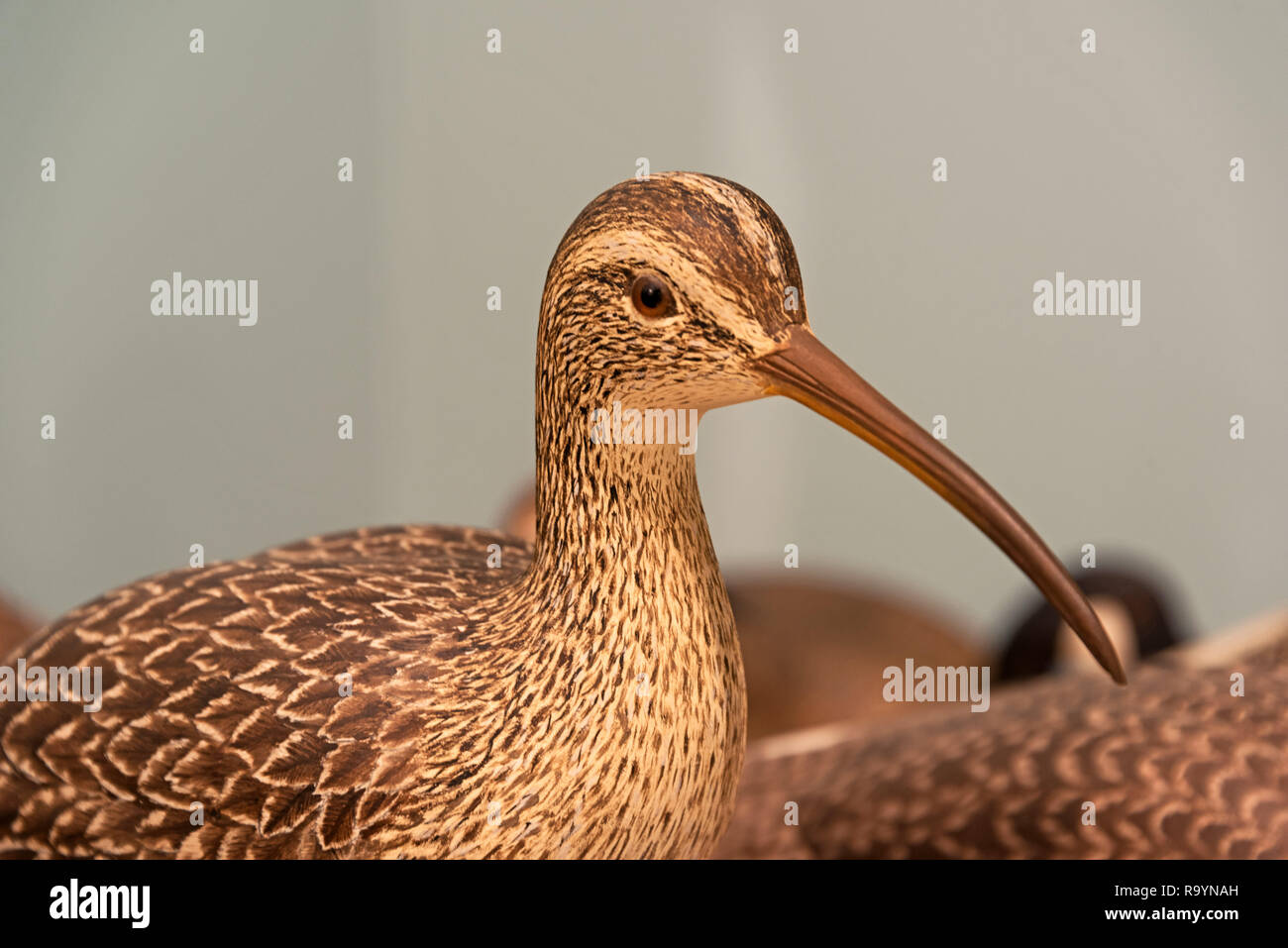 Bird carving by Harold Haertel Stock Photo