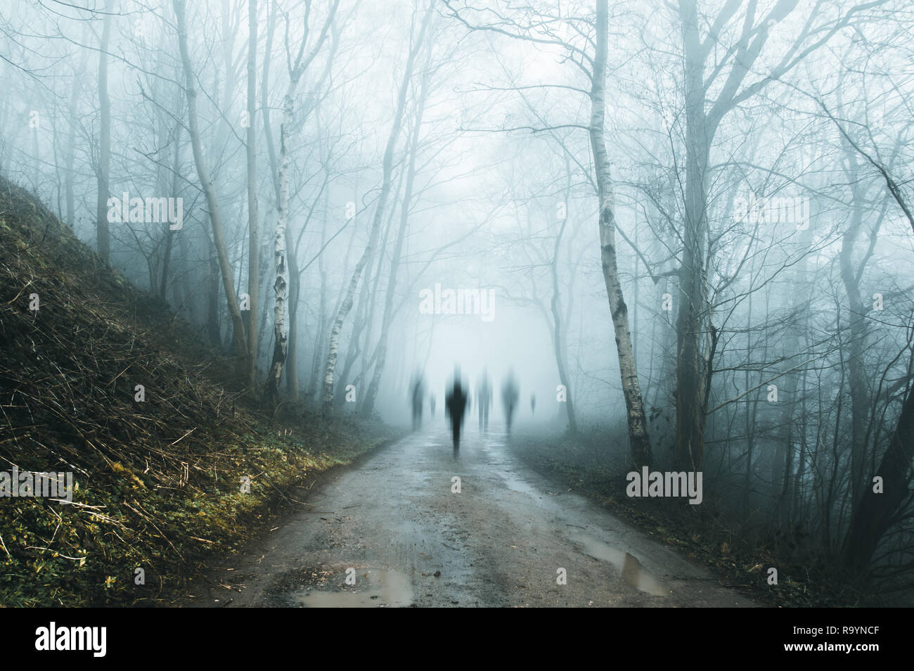 A group of eerie ghostly figures emerging from the fog on a spooky forest  road in winter. With a high contrast photoshop edit. Stock Photo