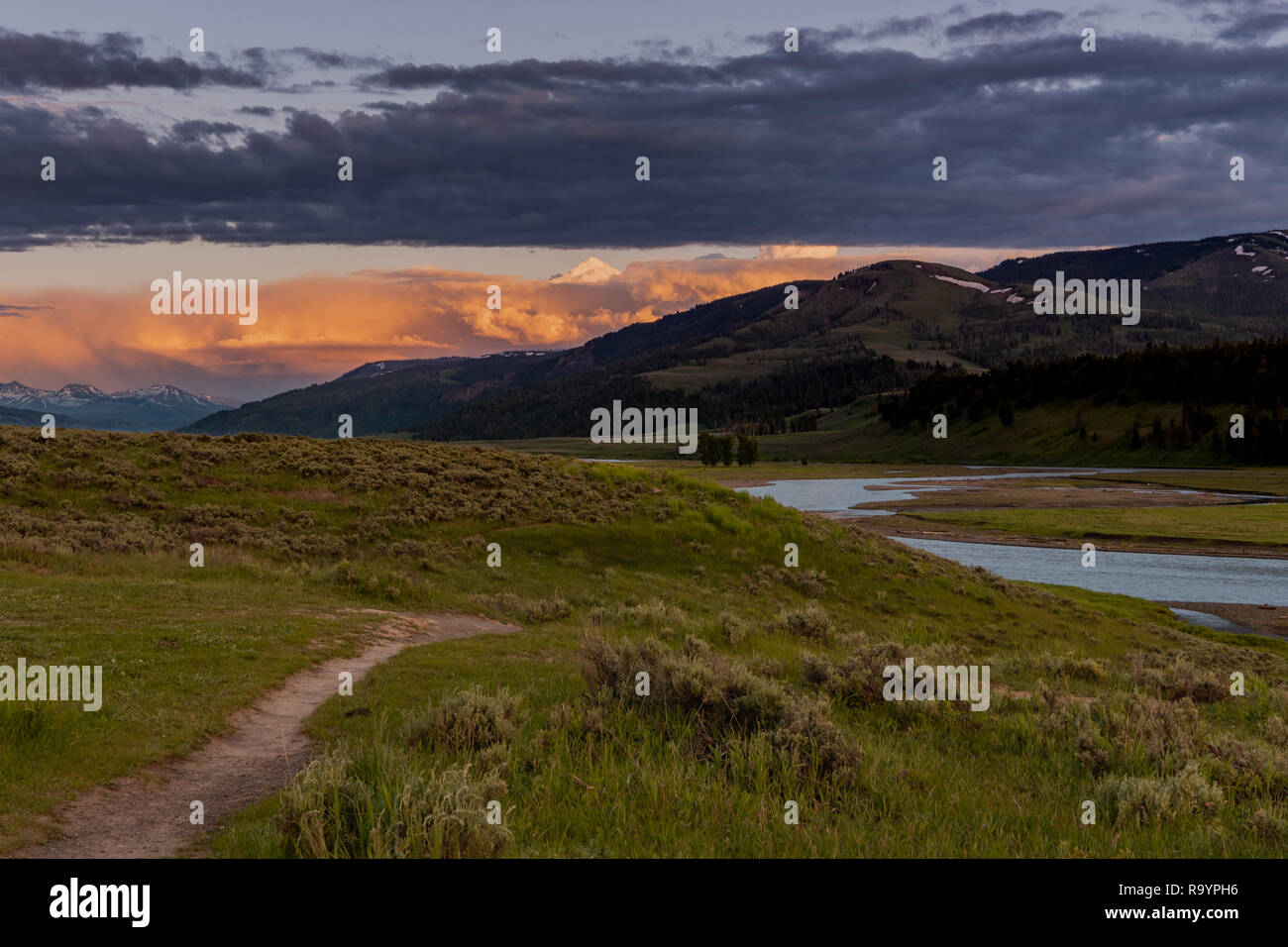 Lamar river trail hi-res stock photography and images - Alamy