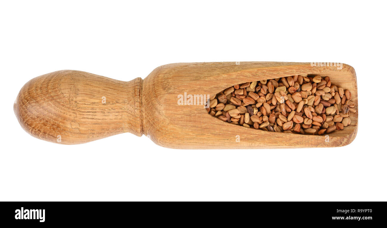 Fenugreek seeds in wooden scoop isolated on white background top view. Stock Photo