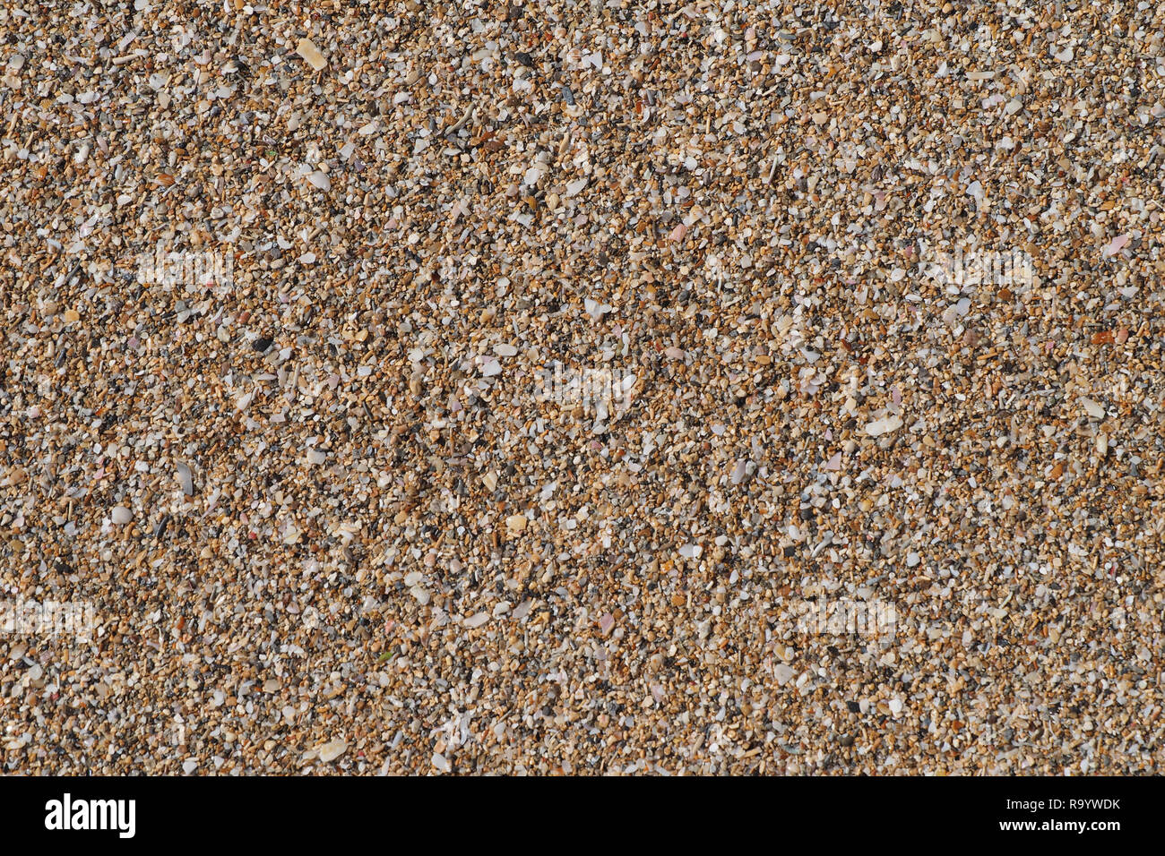 beach of small pebbles, close up view Stock Photo