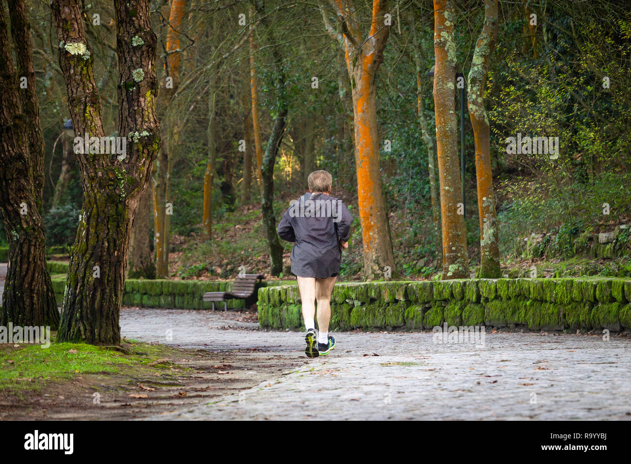 Rear view of a senior man running at the green forest park. Grizzly hair, running apparel and shorts. Stock Photo