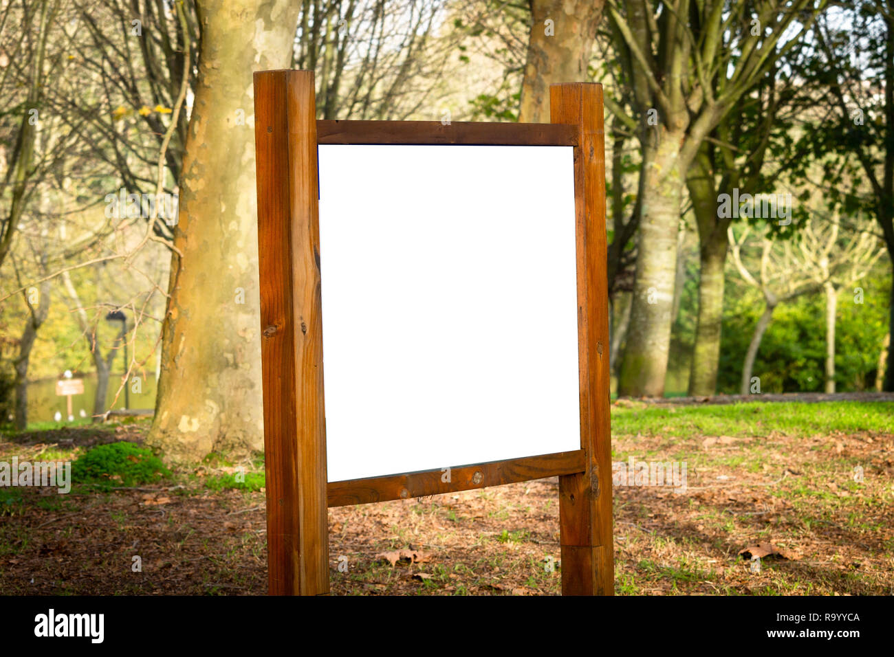 Side view of a wooden advertisement mockup at a green forest park. Park Indications. Stock Photo