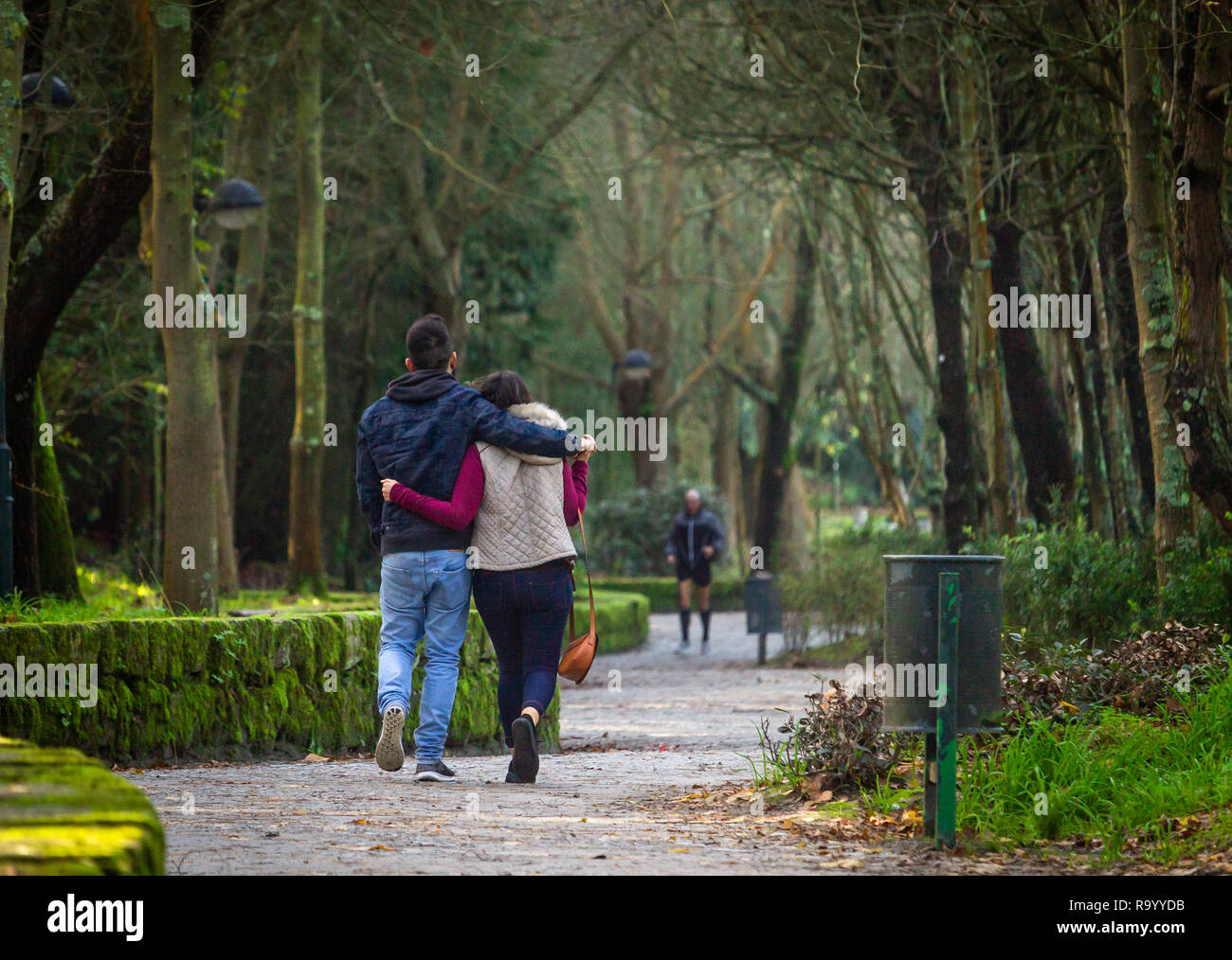 Rear view of a young couple walking at the green forest park. Stock Photo