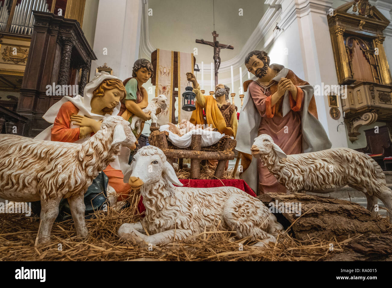 Interior with the crib of the Cathedral in the oldest part of the town of Colle Val d'Elsa, Siena, Tuscany Stock Photo