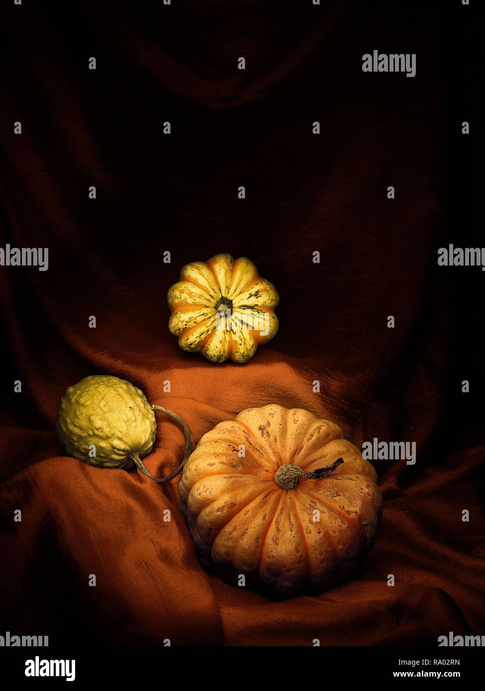 An arrangement of edible and ornamental winter squashes, pumpkins, on draped fabric. Light painting still life. Vertical. Stock Photo