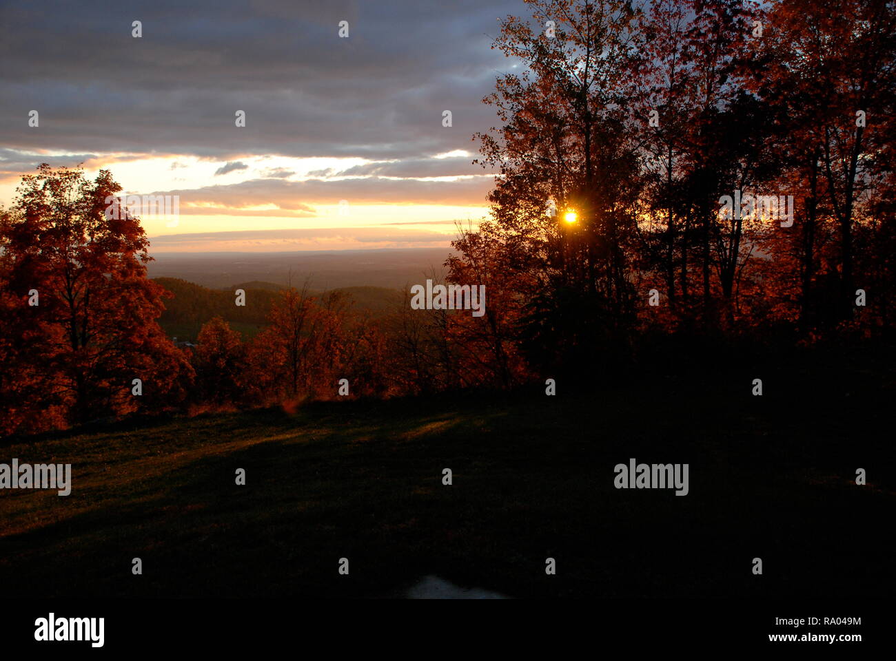 Argyle new york hires stock photography and images Alamy