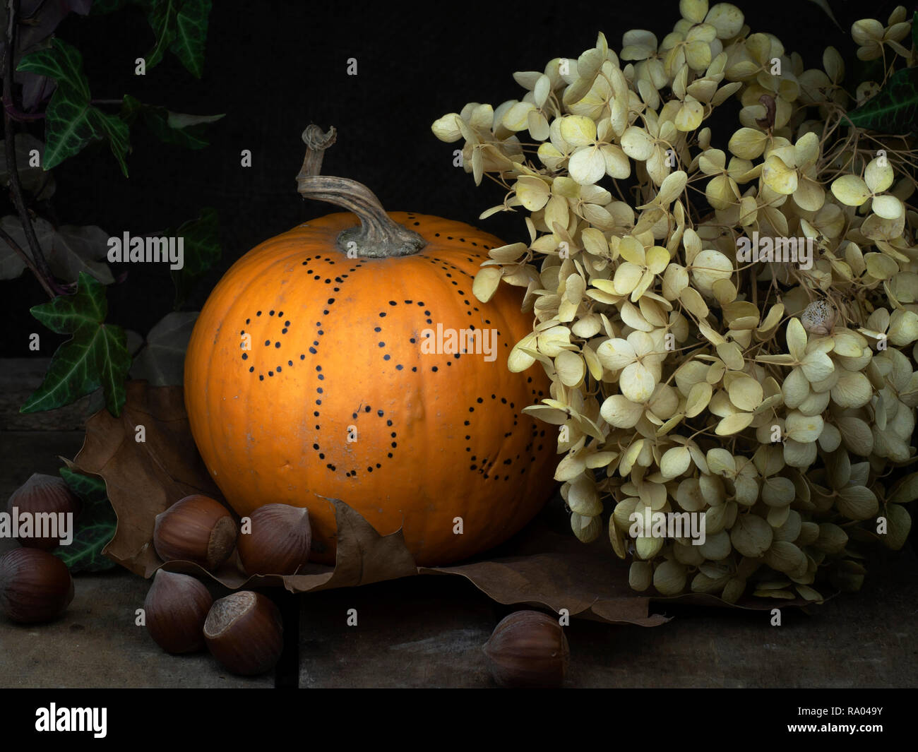 Autumn still life detail. Small decorated pumpkin, squash with dried