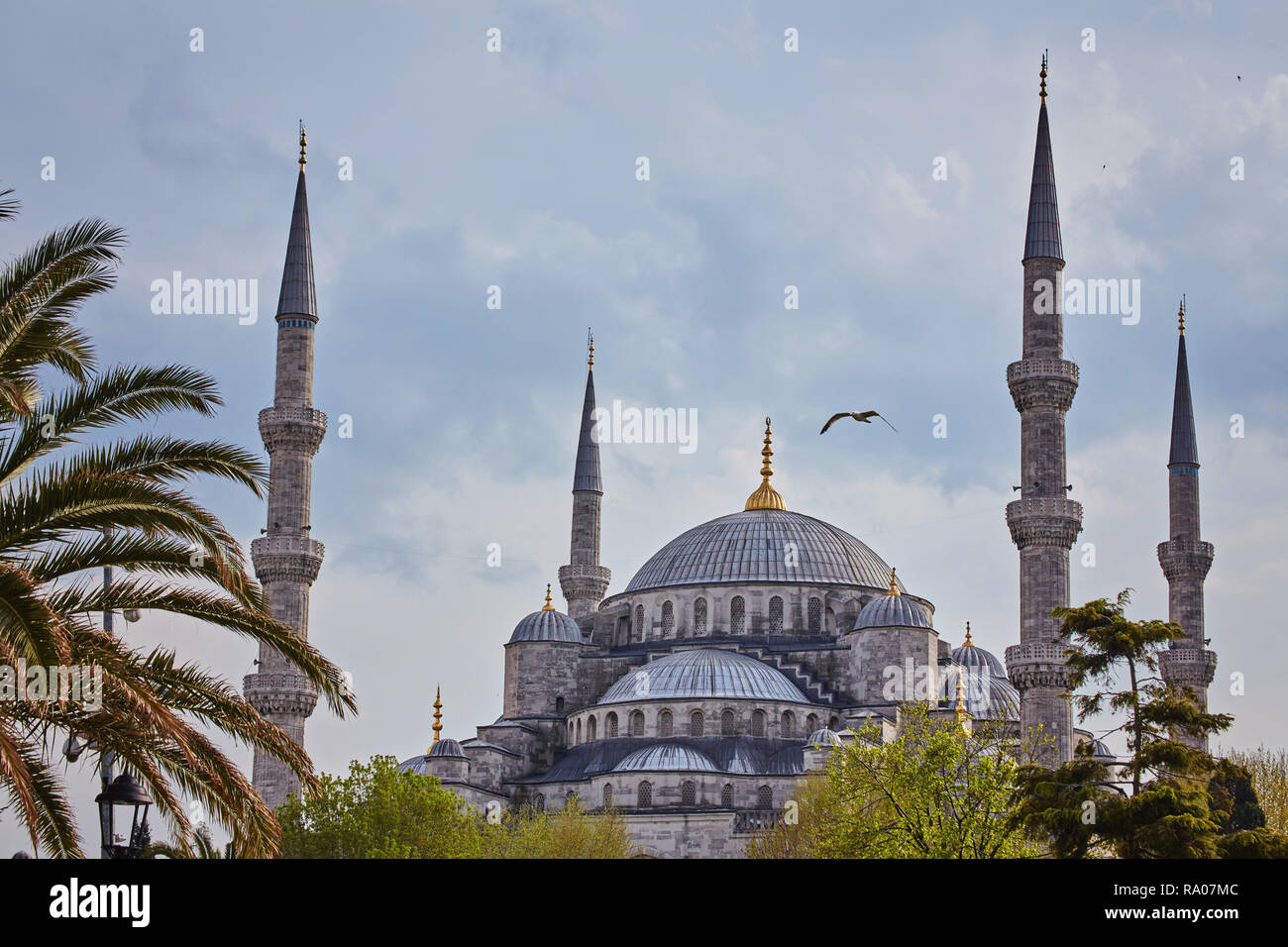 Sultan Ahmed Mosque Blue mosque in Istanbul, Turkey in a beautiful ...