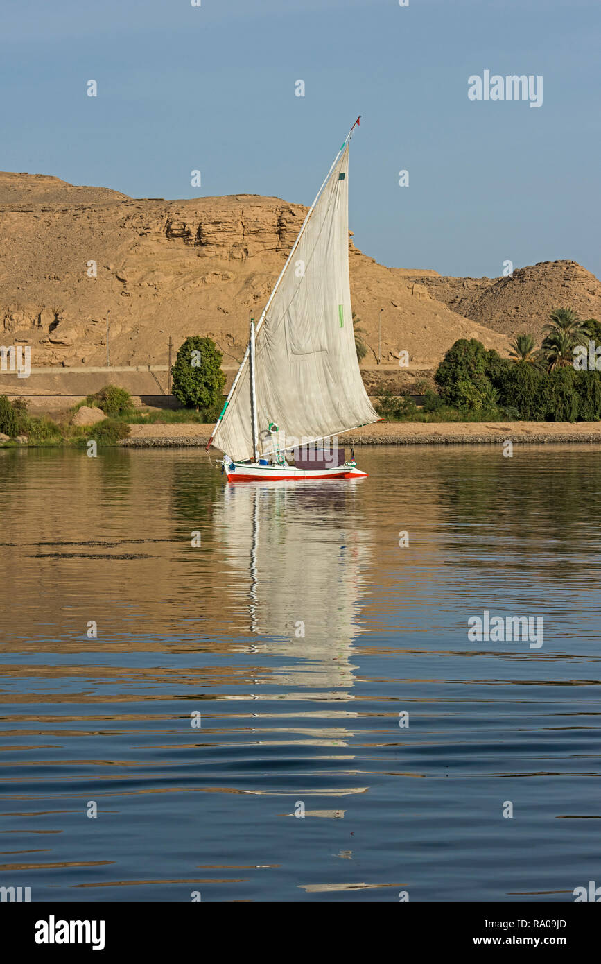 Traditional egyptian felluca sailing boat on river Nile with reflection at Aswan Stock Photo Alamy