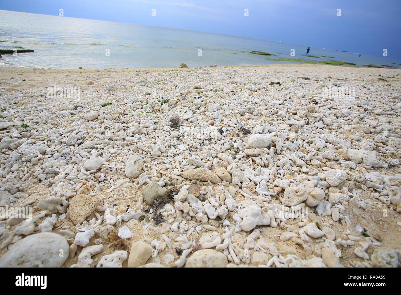 Coral Beach In Japan Okinawa Stock Photo Alamy