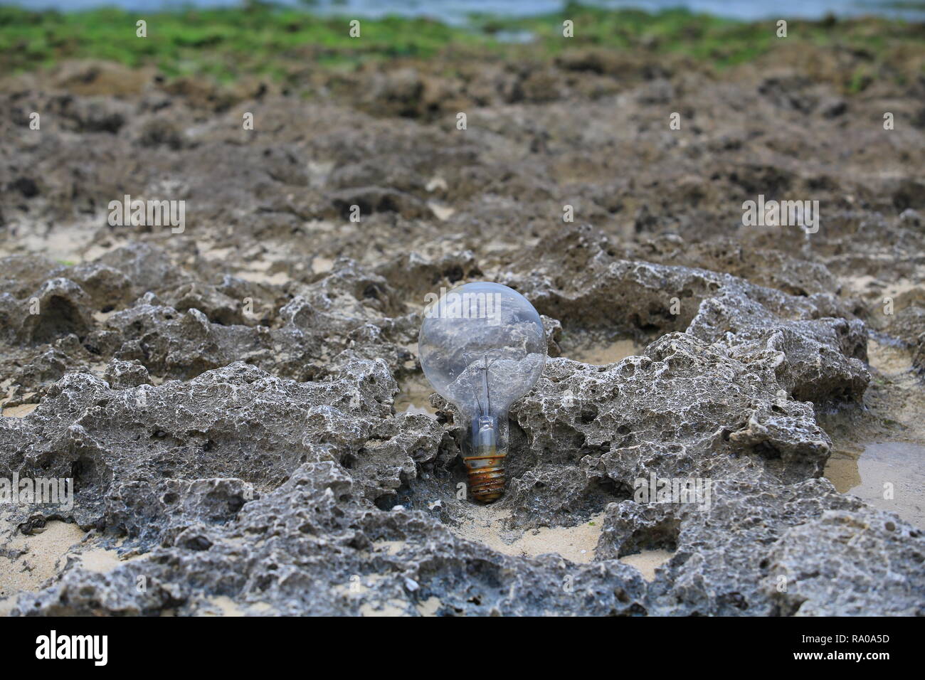 abandoned bulb on the beach Stock Photo Alamy