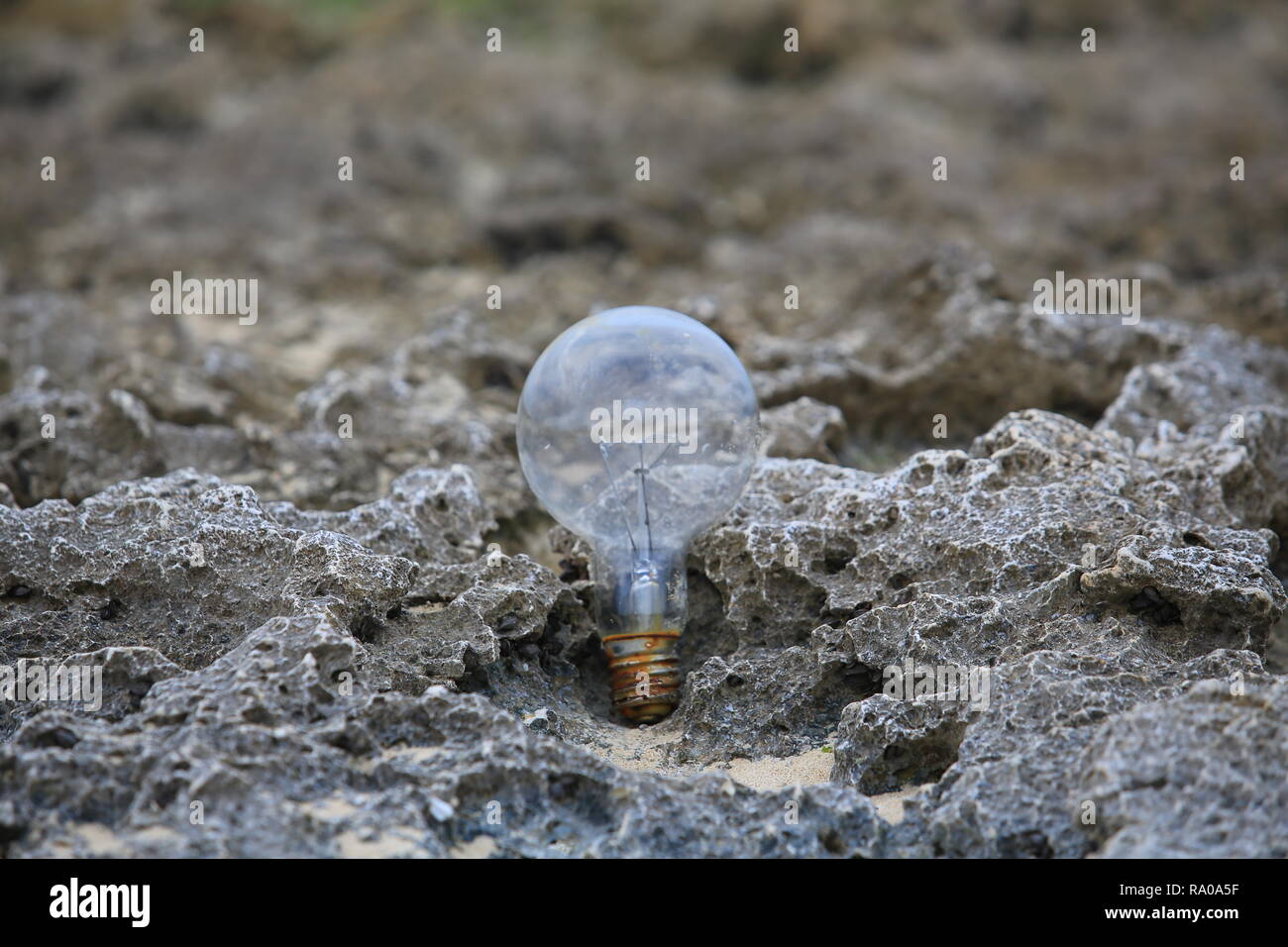 abandoned bulb on the beach Stock Photo Alamy