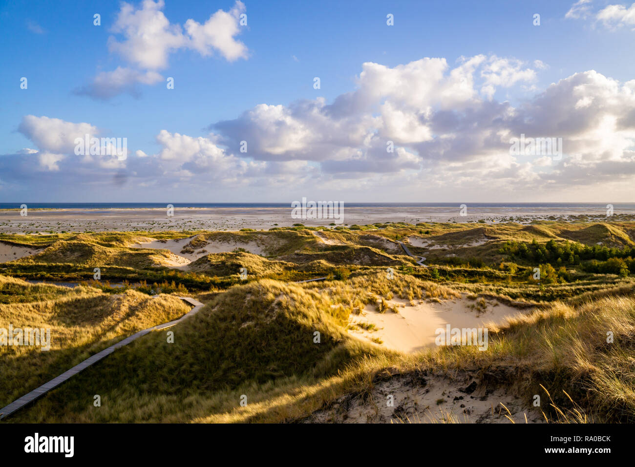 Landscape of dunes at sunset in Amrum Germany in the Northern Sea Stock ...