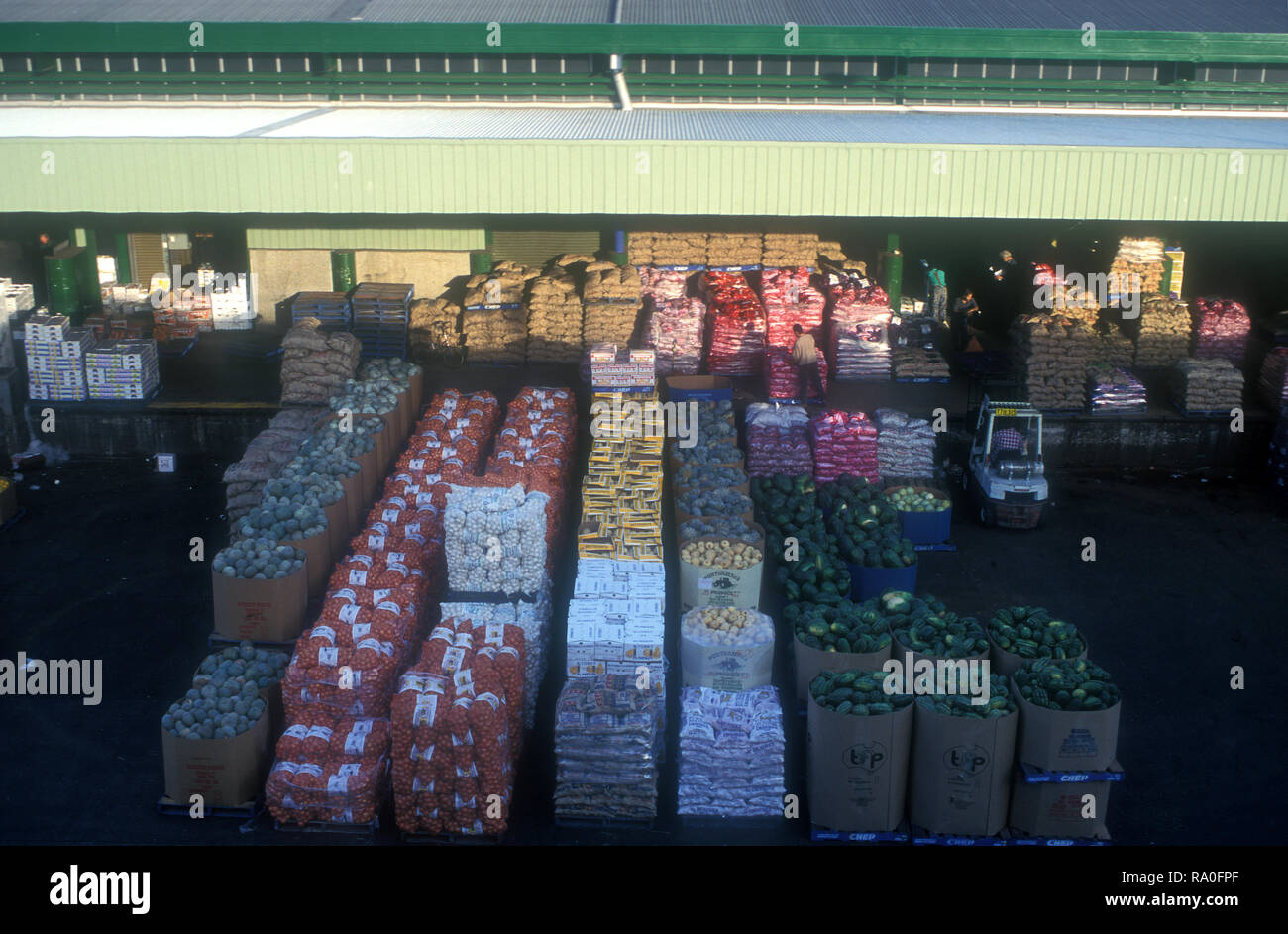 BOXES OF VEGETABLES AT THE FLEMINGTON MARKETS (SYDNEY MARKETS), SYDNEY