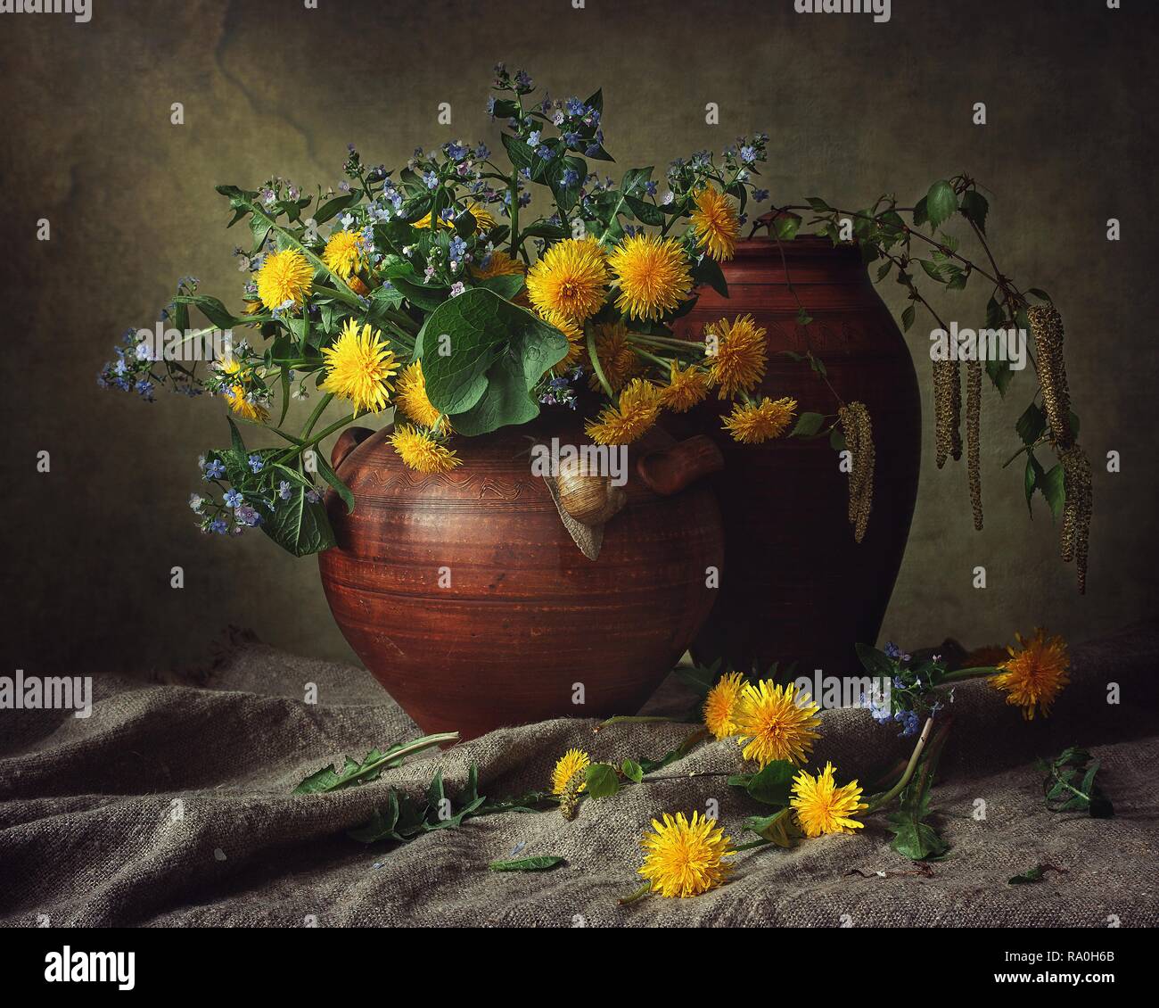 Still life with bouquet of dandelions Stock Photo