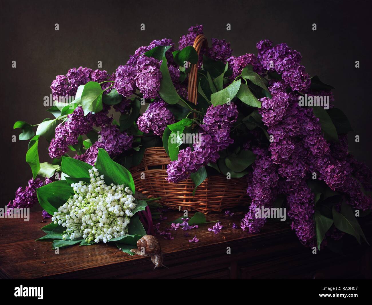 Still life with bouquet of lilac Stock Photo - Alamy