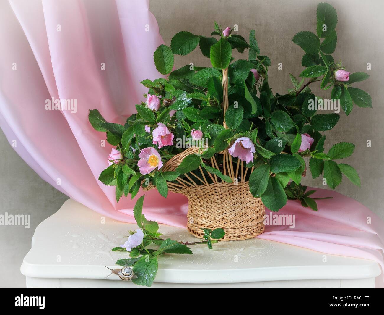 Still life with bouquet of pink wild roses Stock Photo - Alamy