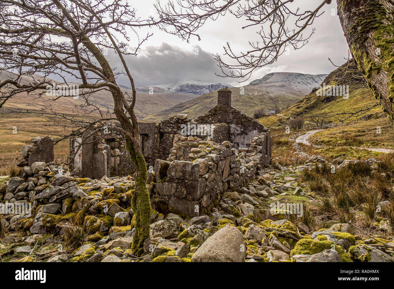 A ruined, abandoned stone built cottage, near Llanberis in the Snowdonia National Park in North Wales. Stock Photo