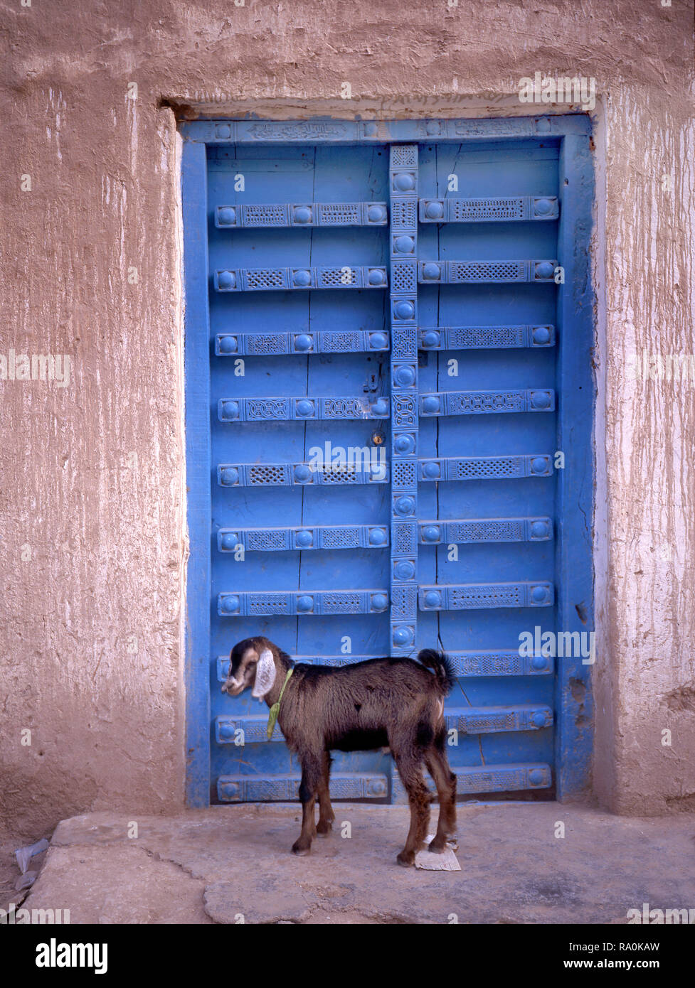 Traditional old wooden door in Sanaa Yemen with a young goat standing in front of it Stock Photo