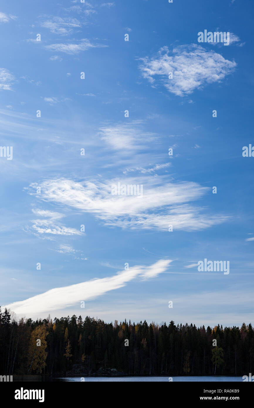 Blue sky and clouds over forest lake Stock Photo - Alamy