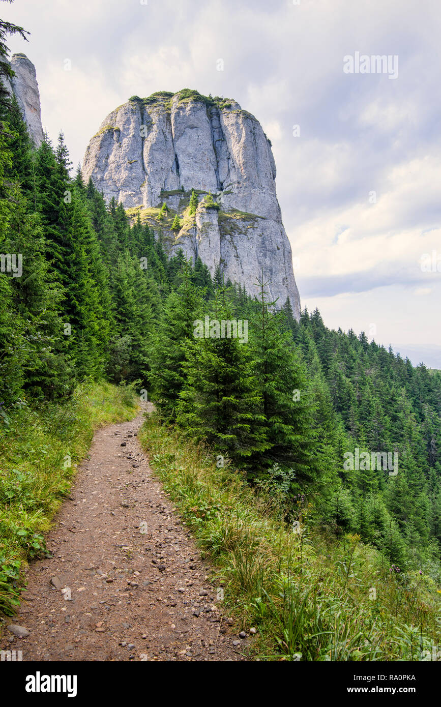 Beautiful Hiking Trail In Carpathians Mountain Summer Landscape Beautiful Hiking Trail In Carpathians Mountain Summer Landscape