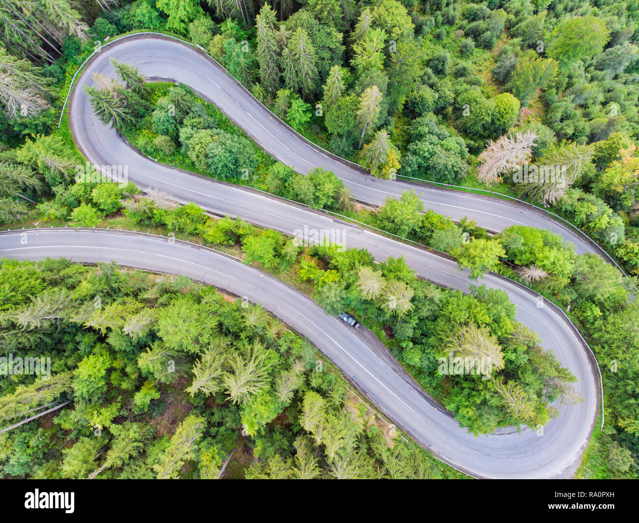 View from above of a forest curvy road, evergreen forest in summer, drone view Stock Photo