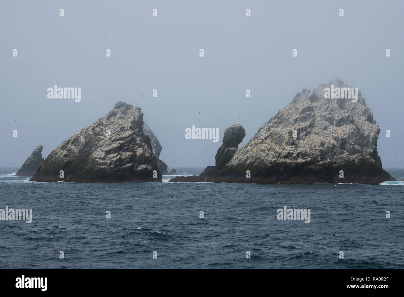 South Georgia, Shag Rocks. Uninhabited group of small islands (aka ...