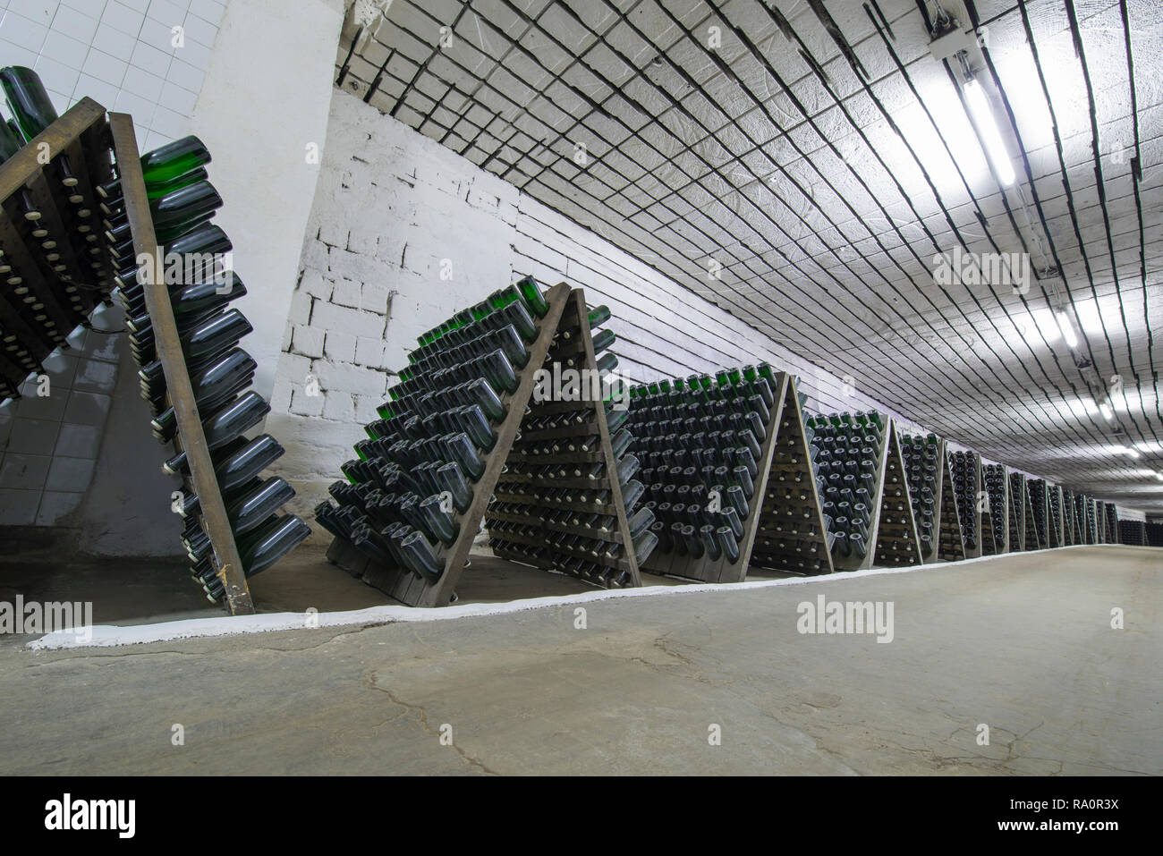 Storage hall of white sparkling wine bottles in the cellars of winery, sparkling wine fermenting on stands Stock Photo