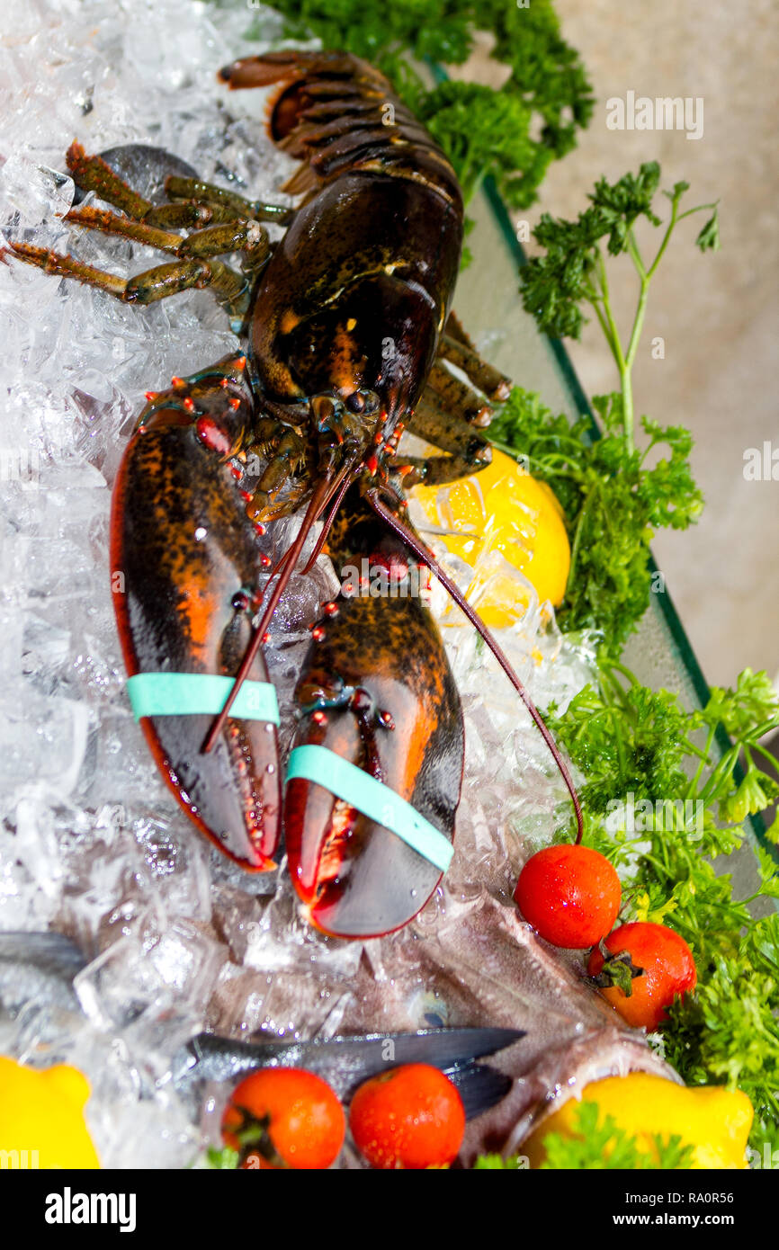 Very fresh sea food for sale. Lobster. Venice restaurant Italy. Stock Photo