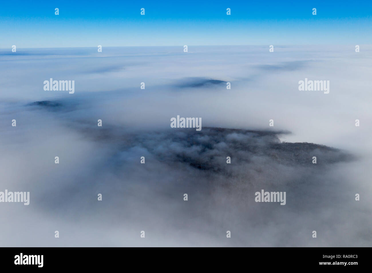 Aerial view of foggy forest in a sunny morning Stock Photo - Alamy