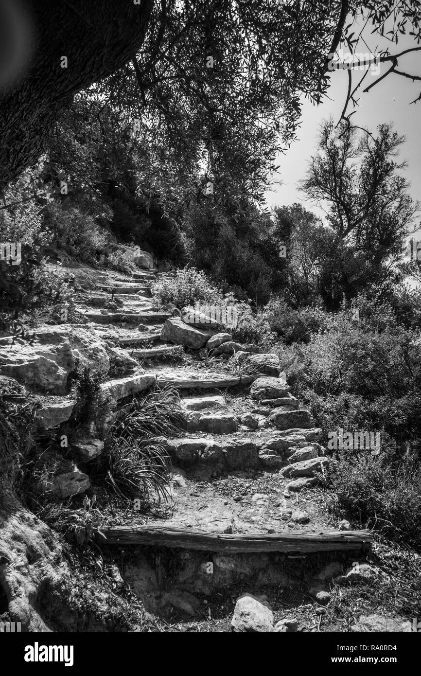 Low Angle Landscape Summer Black And White Stock Photos Images Alamy